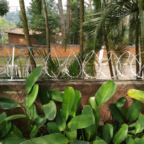 Muro com cerca concertina clipada instalada