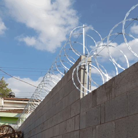 Cerca Concertina Simples galvanizada Instalada