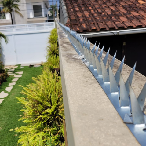 Instalação de Lança Mandíbula