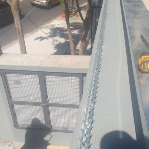 Lança Mandíbula Instalada