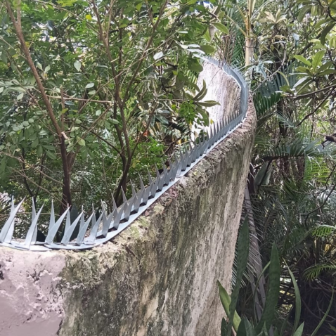 Instalação de Lança Mandíbula